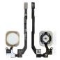 Flex Boton Home Para Apple iPhone 5S Dorado Oro