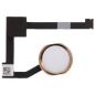 Flex Boton Home Para Apple Ipad Mini 4